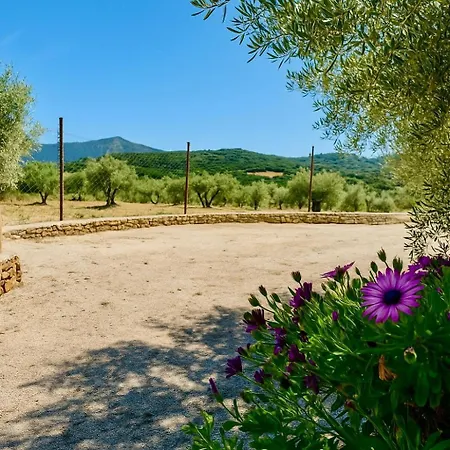 Serena Villa Ronda